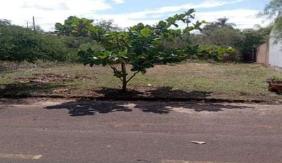 Imóvel Urbano com Área Total de 315,39 M2- Lote 28- Quadra 15- Residencial Elisa em Terra Roxa-PR