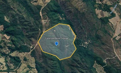 IMÓVEL RURAL COM ÁREA TOTAL DE 73,4496 hectares. EM VIANÓPOLIS-GO, AVALIADO EM R$ 3.030.921,95