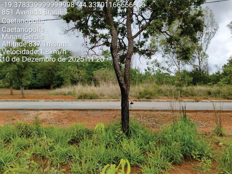 Lote, Caetanópolis / MG
