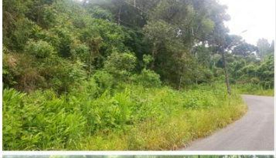 Terreno com área de 14.392,28m², sem benfeiotorias, Avenida Manoel Ribas, 4.428, esquina com Ruas Zilia Quadri Merhy e Ernesto Durigan., Cascatinha, Curitiba/PR.
