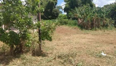 IMÓVEL URBANO COM ÁREA TOTAL DE 225 m2 em MARILUZ-PR