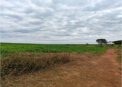 Imóvel Rural | A.T. 41,99 Ha - Fazenda Bebedouro (Agricultura) | Amorinópolis/GO
