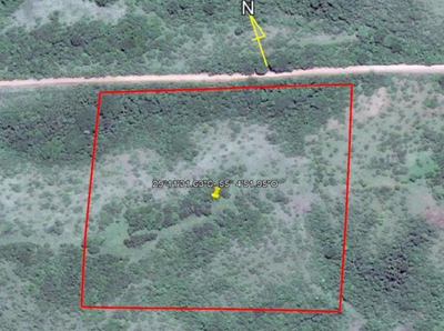 IMÓVEL RURAL COM ÁREA TOTAL DE 300.000m² - SANTIAGO/RS