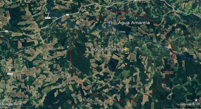Direitos aquisitivos sobre imóvel rural de 05 alqueires e 28 litros - Antônio Olinto/PR