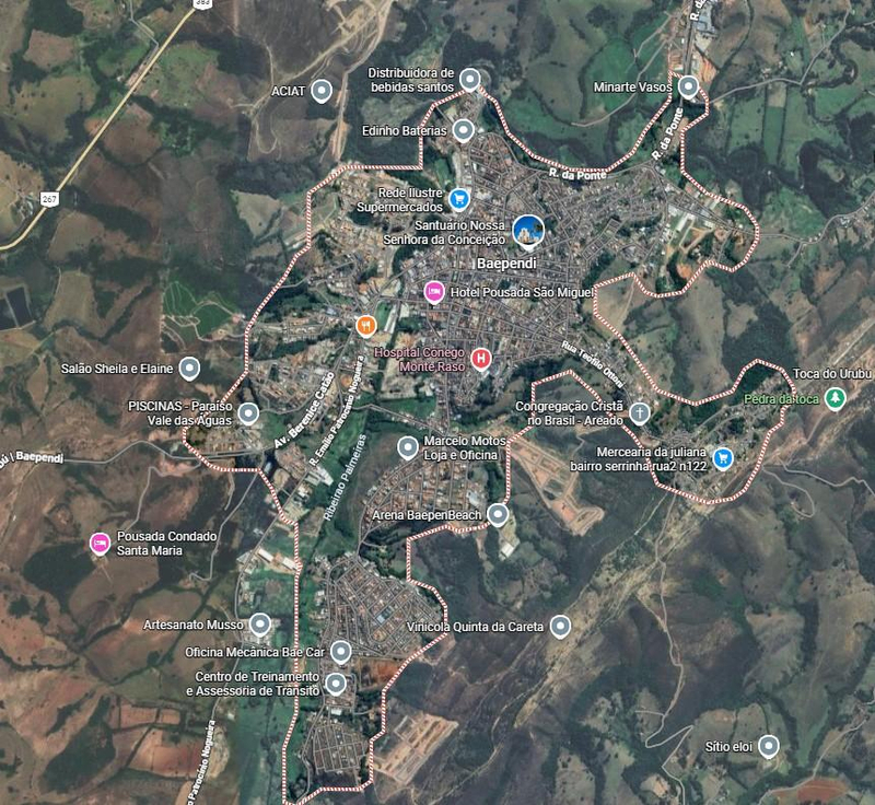 Imóvel Rural Aprox. 41,4 Hectares (414.200m²) | Baependi/MG | Região Turística da Mantiqueira | Oportunidade com 50% de Desconto na 2ª Praça!