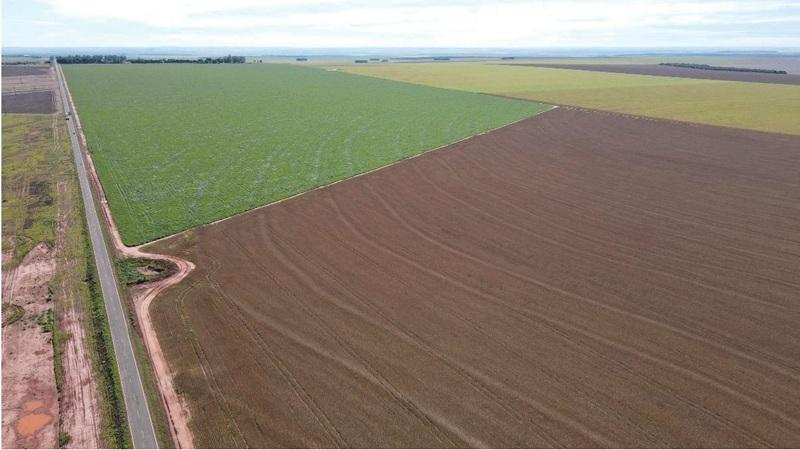 Imóvel Rural | 400 Ha (Fração Ideal) - Faz. Lote Baús Perdido I  Secção B | Plantio pará Soja e Milho | Paráíso das Águas/MS