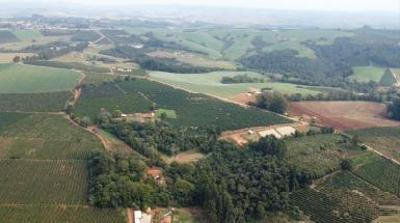 IMÓVEL RURAL COM ÁREA TOTAL DE 21.323m² - EM PINHALÃO-PR