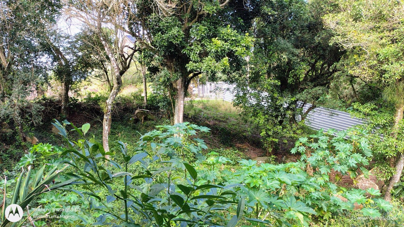 Terreno 403m² | Vila Nova, Porto Alegre | Desocupado | Lote 11 Quadra D1