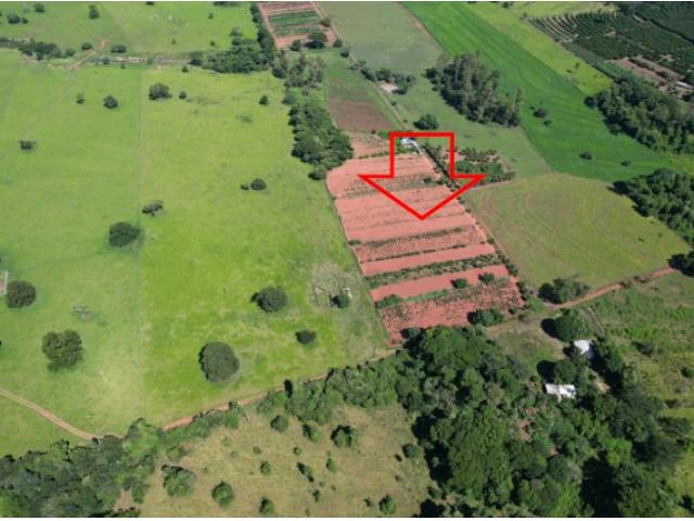 Parte ideal de 50% - sítio c/ 11,37 ha - santa salete/sp