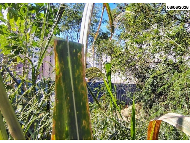 Terreno c/ 468m² - Vila Velha/ES