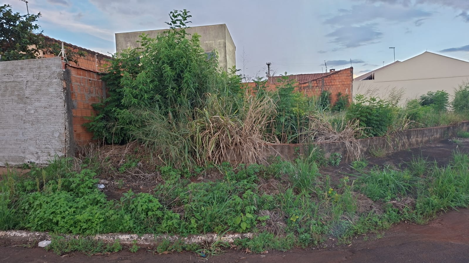 1.0 - terreno área total 245,28m² - jd arlindo ramos - santa cruz das palmeiras/sp