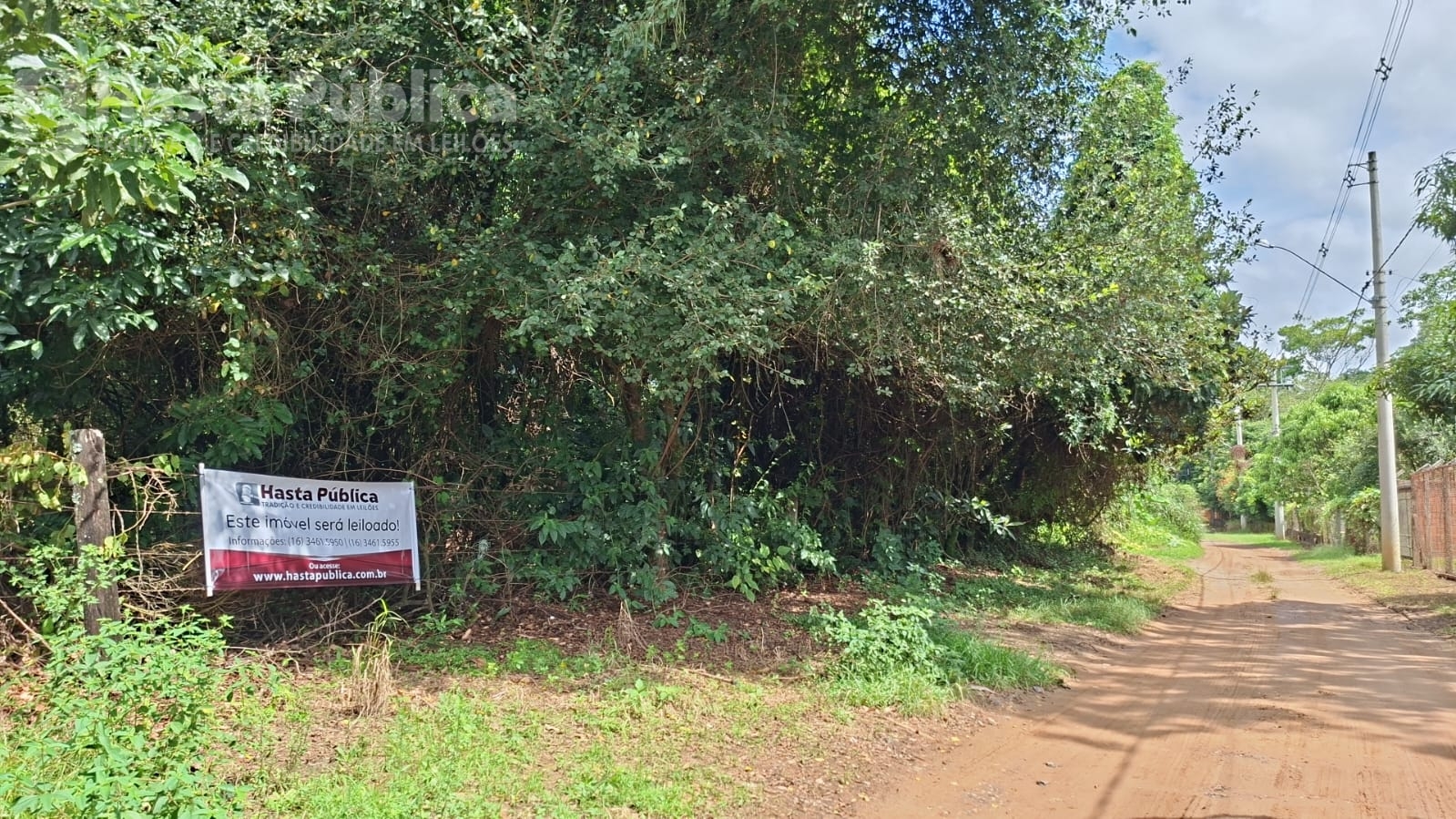 9.0 - área de terras com 1 alqueire paulista em porto ferreira/sp