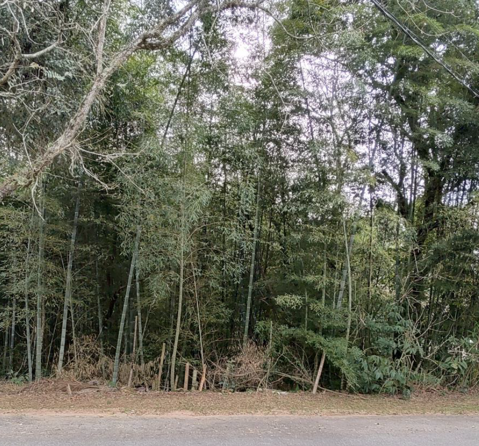 Terreno em são roque