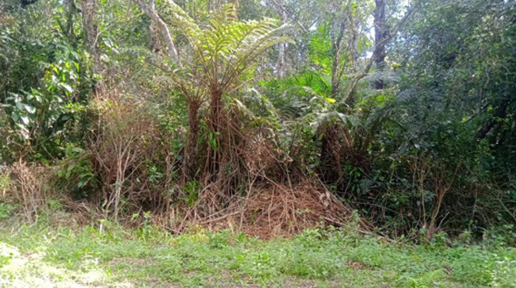 Terreno com área de 450,00 m² - loteamento aquarius i, rio pindú-mirim, iguape/sp