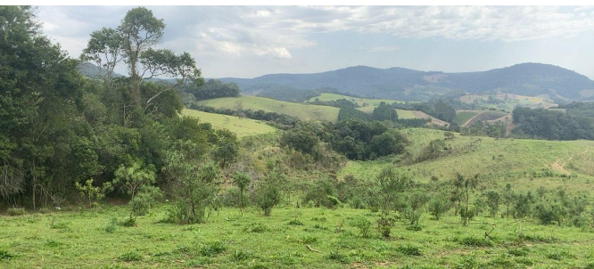 Imóvel rural, a.t 8 alqueires, próprio para cultivo de lavoura, caçador do meio, ribeirão branco/sp