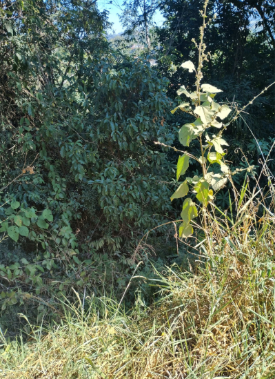 Terreno urbano de 2.446,43m² – chácaras monte verde – taquaral – itu/sp
