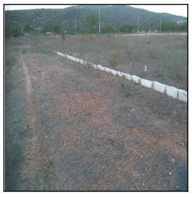 Terreno, Lot Res Deus É Fiel, Jataúba, PE