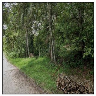 Terreno, Chò da Tßbua, São Lourenço da Mata, PE