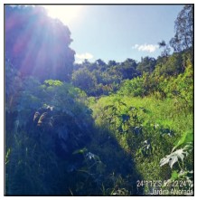 Terreno, Jardim Alvorada, Campo Mourão, PR