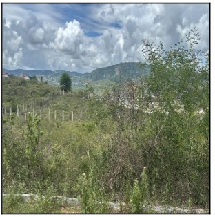 Terreno, Cruzeiro, Gravatá, PE