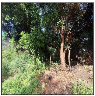 Terreno, Belvedere, Serra, ES