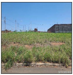 Terreno, Loteamento Residencial Ype, Mogi Mirim, SP