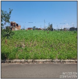 Terreno, Loteamento Residencial Ype, Mogi Mirim, SP