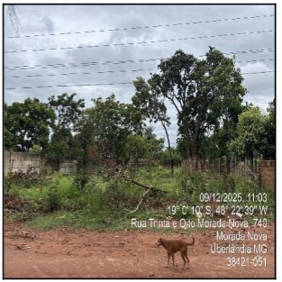 Terreno, Morada Nova, Uberlandia, MG