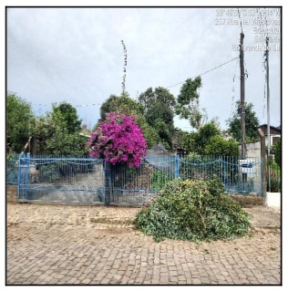 Terreno, Botucarai, Soledade, RS