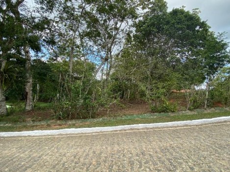 Terreno, Cenro, Aliança, PE