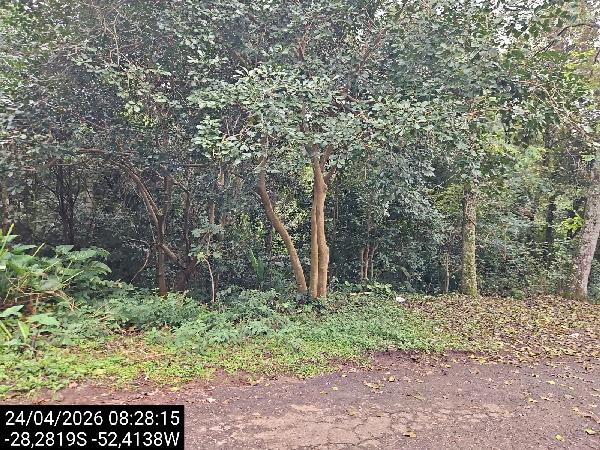Terreno, Vila Luiza, Passo Fundo, RS