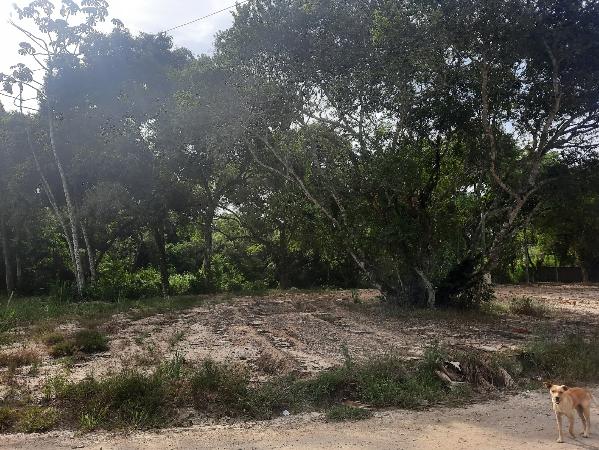 Terreno, Loteamento Campos Ve, Iguaba Grande, RJ