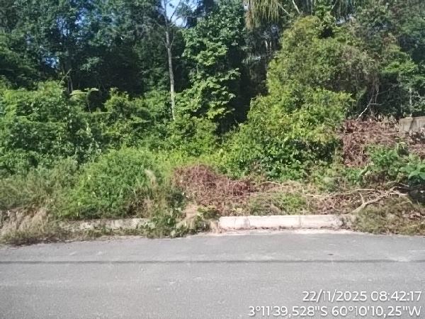 Terreno, Gleba Cacau Pireira, Iranduba, AM