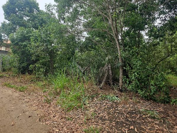 Terreno, Do Congo, Vila Velha, ES