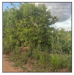 Terreno, Loteamento Recanto C, Lagoa do Carro, PE