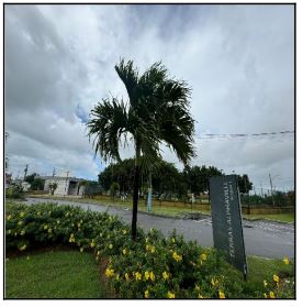 Terreno, Centro, Barra dos Coqueiros, SE