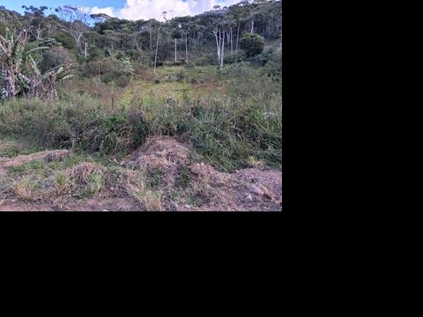 Terreno, FAZENDA ALPINA, Teresópolis, RJ