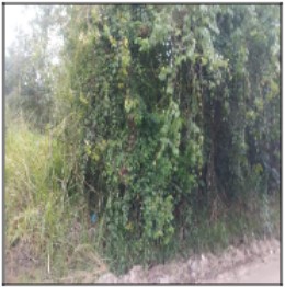 Terreno, Agro Brasil (sambaetiba), Itaboraí, RJ