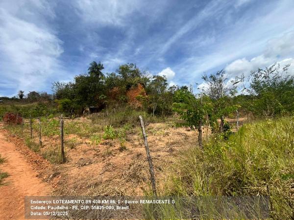 Terreno, Br 408 Km 86, Paudalho, PE