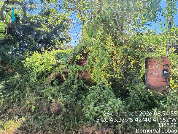 Casa, Piaçava, Demerval Lobão, PI
