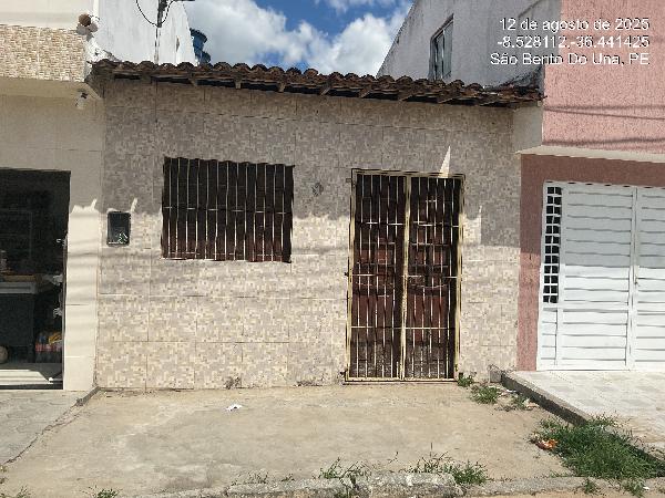 Casa, Nossa Senhora Aparecida, São Bento do Una, PE