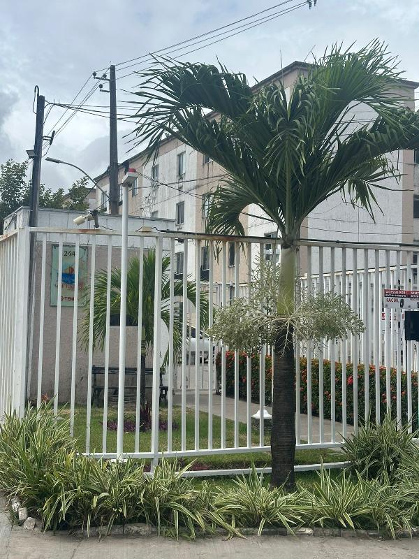 Apartamento, Barra de Jangada, Jaboatão dos Guararapes, PE