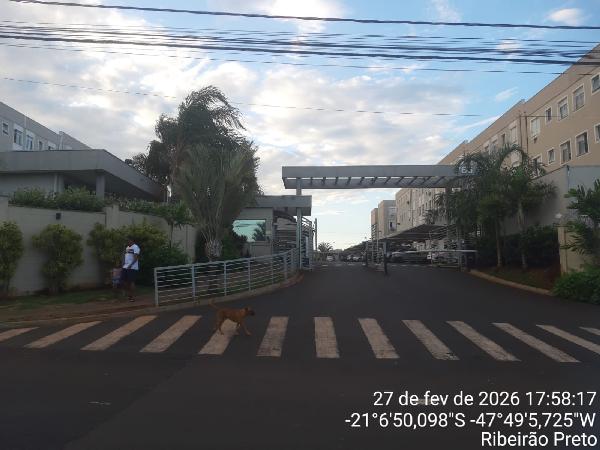 Apartamento, Jardim Heitor Rigon, Ribeirão Preto, SP
