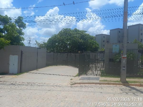 Apartamento, Celeiro das Alegrias Futuras, Camaragibe, PE