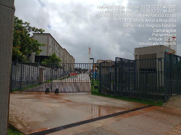 Apartamento, Celeiro das Alegrias Futuras, Camaragibe, PE