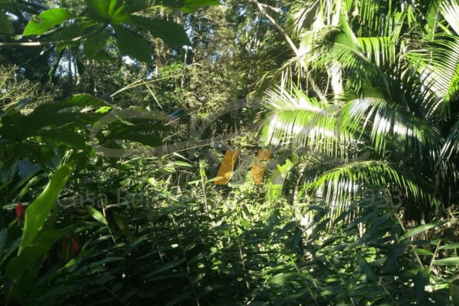 Terreno – praia massaguaçu, caraguatatuba