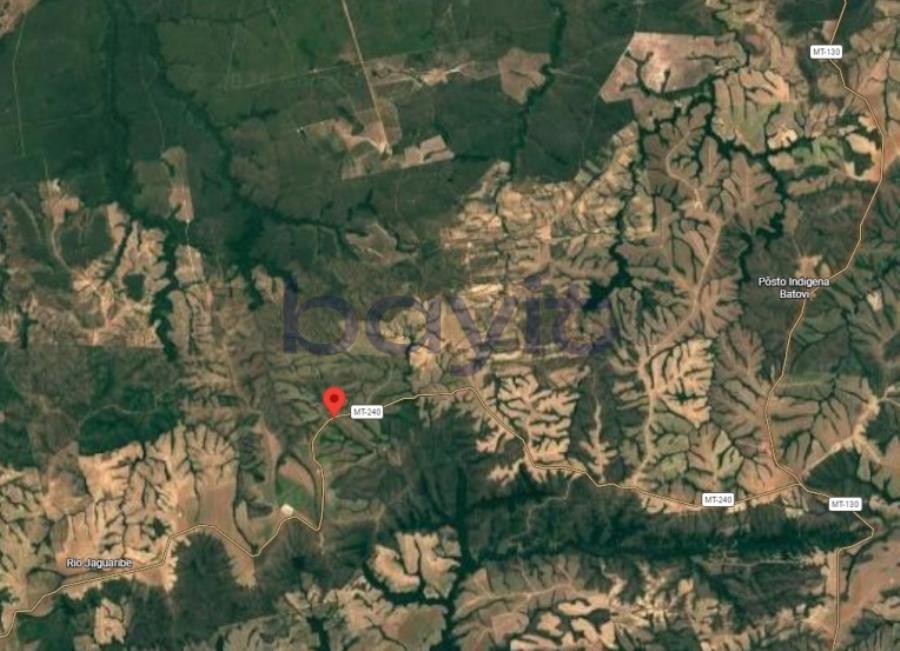 Fazenda - 251,00 hectares