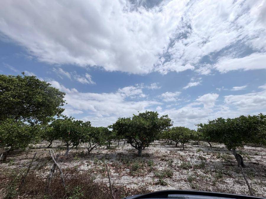 Lote à venda na Rua E Loteamento El Dourado - Pacajus/CE