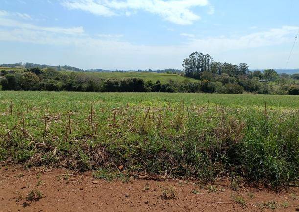 Lote à venda na Estrada Rural - Nova Tebas/PR