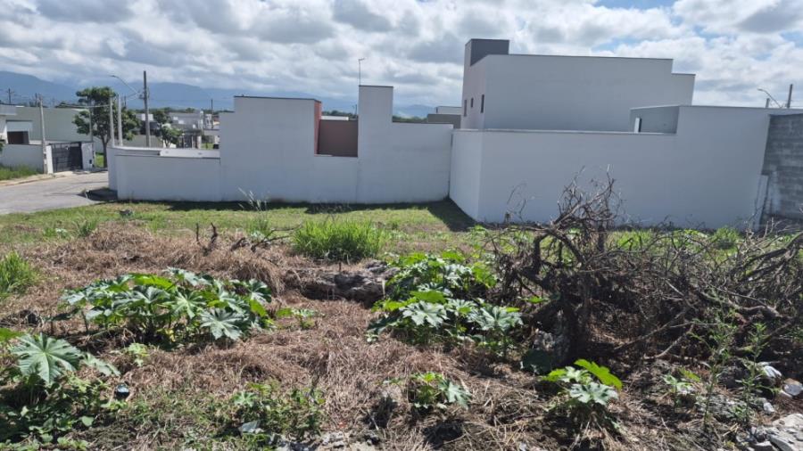 Lote 8 - Pindamonhangaba - SP - Loteam. Santa Clara - Terreno